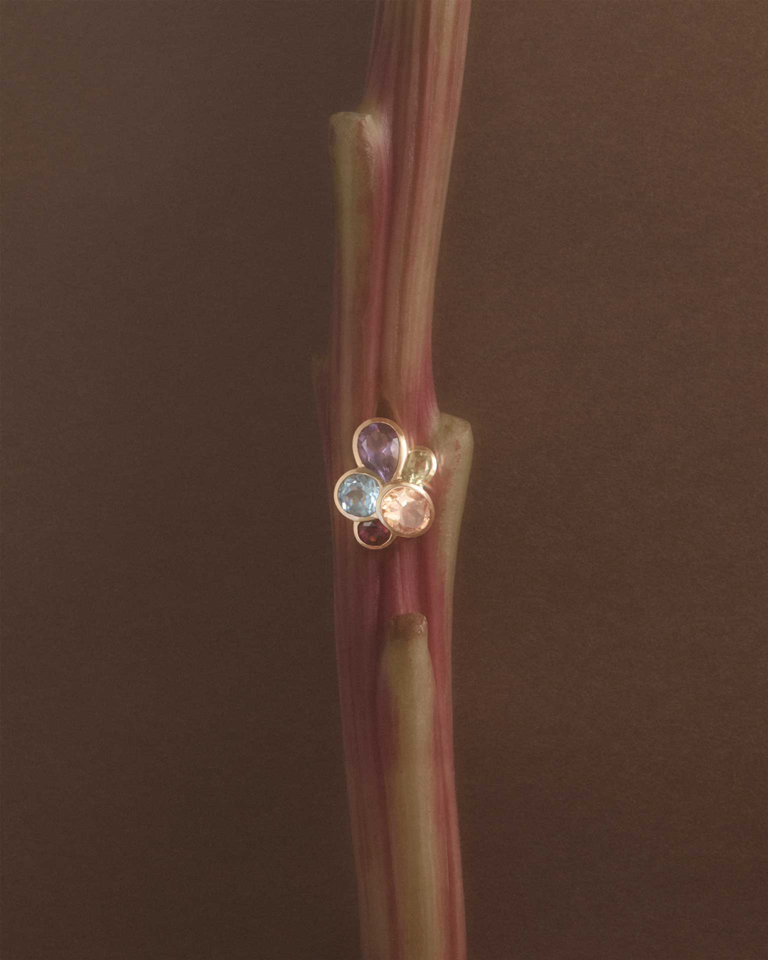 elodie farge photography 2018 Pampilles nature morte still life Pampilles verrerie couleurs graphique structure